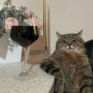 Meet your Posher, Nicholas